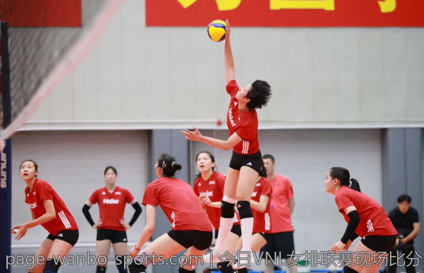 今日VNL女排联赛现场比分实时更新与精彩瞬间